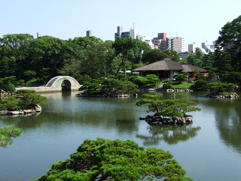 尾道に先んじて広島で桜開花宣言の縮景園の全体写真