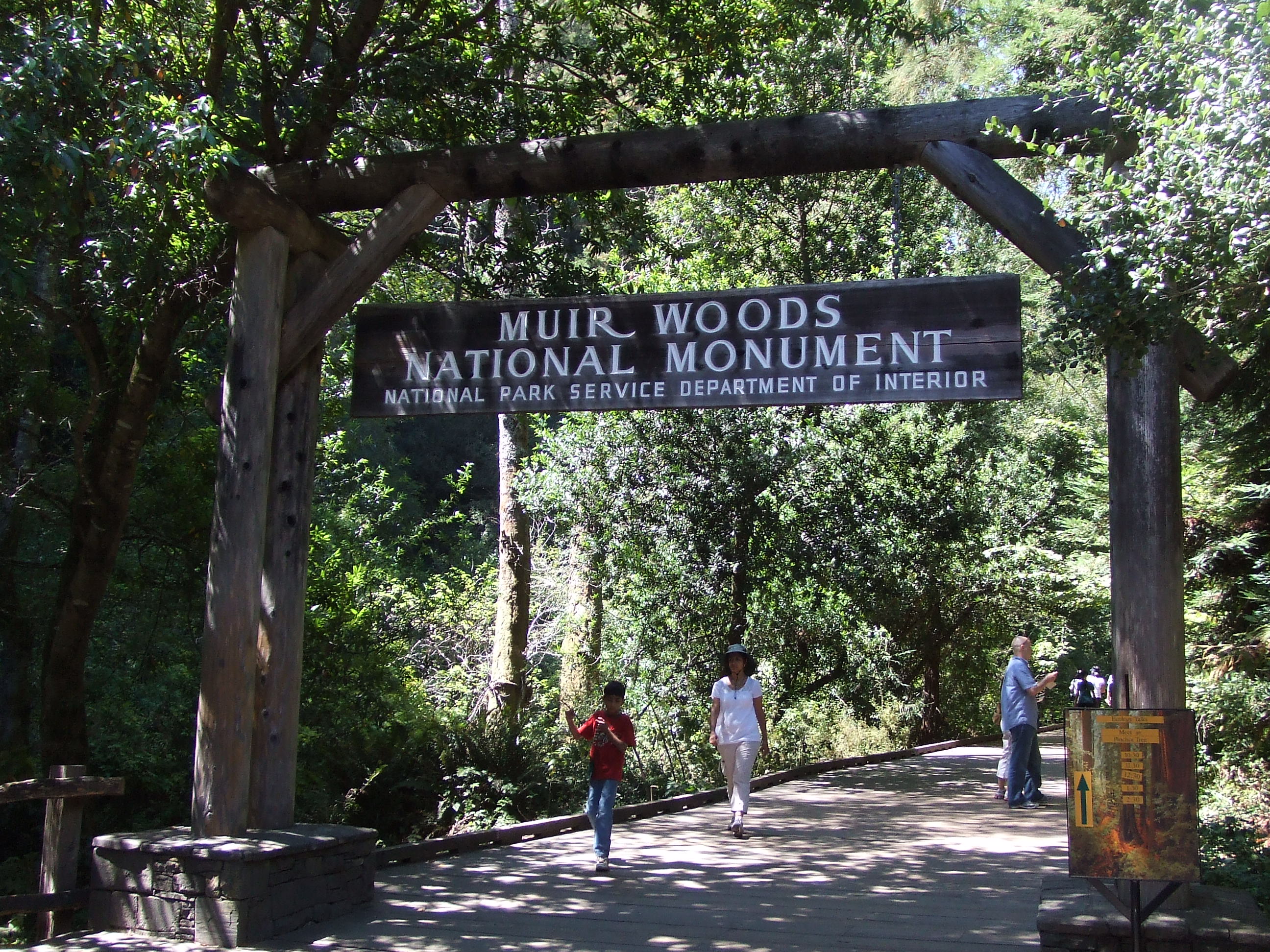 Muir Woods ミュアウッズ国定公園 Life In Bay Area