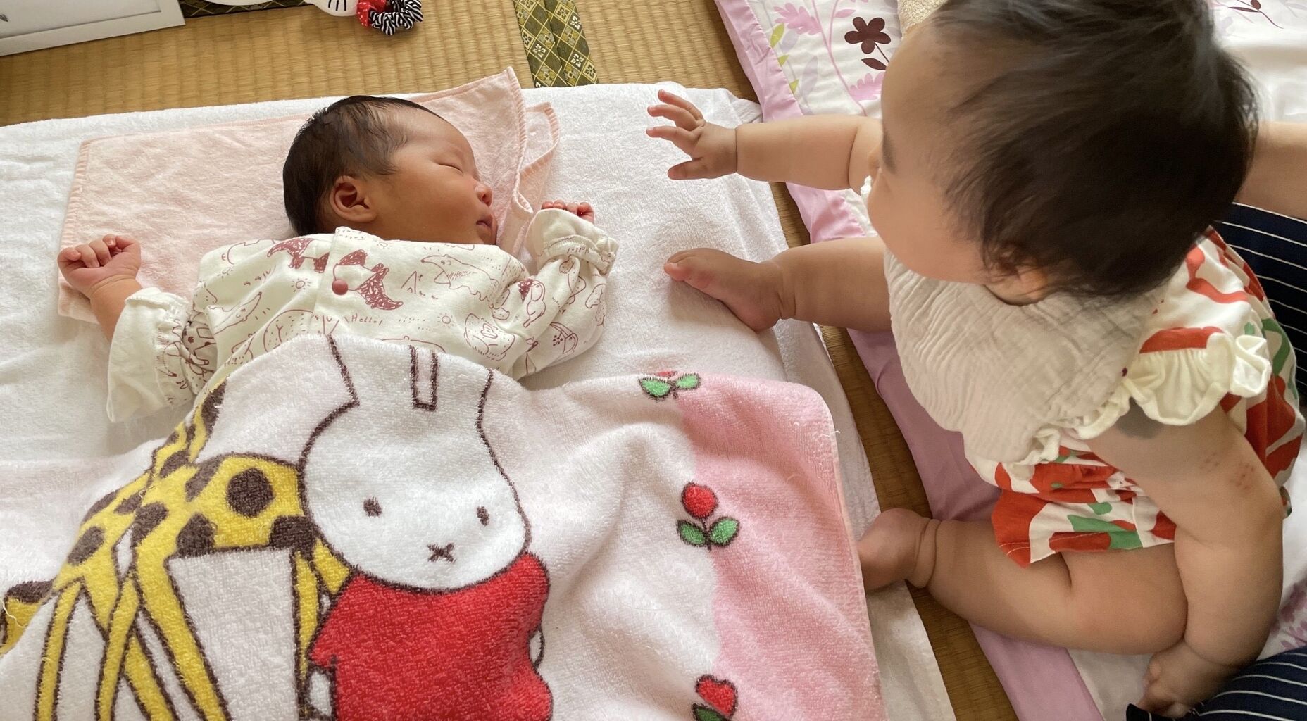 富山のミカエル日記 : 親分が誕生餅を背負うお祝い