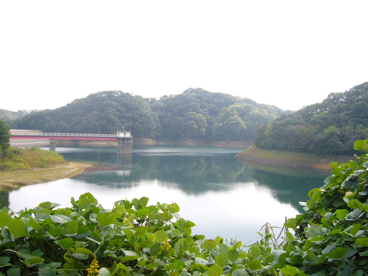 古洞の湯富山, 古洞の森 富山 – FJULM