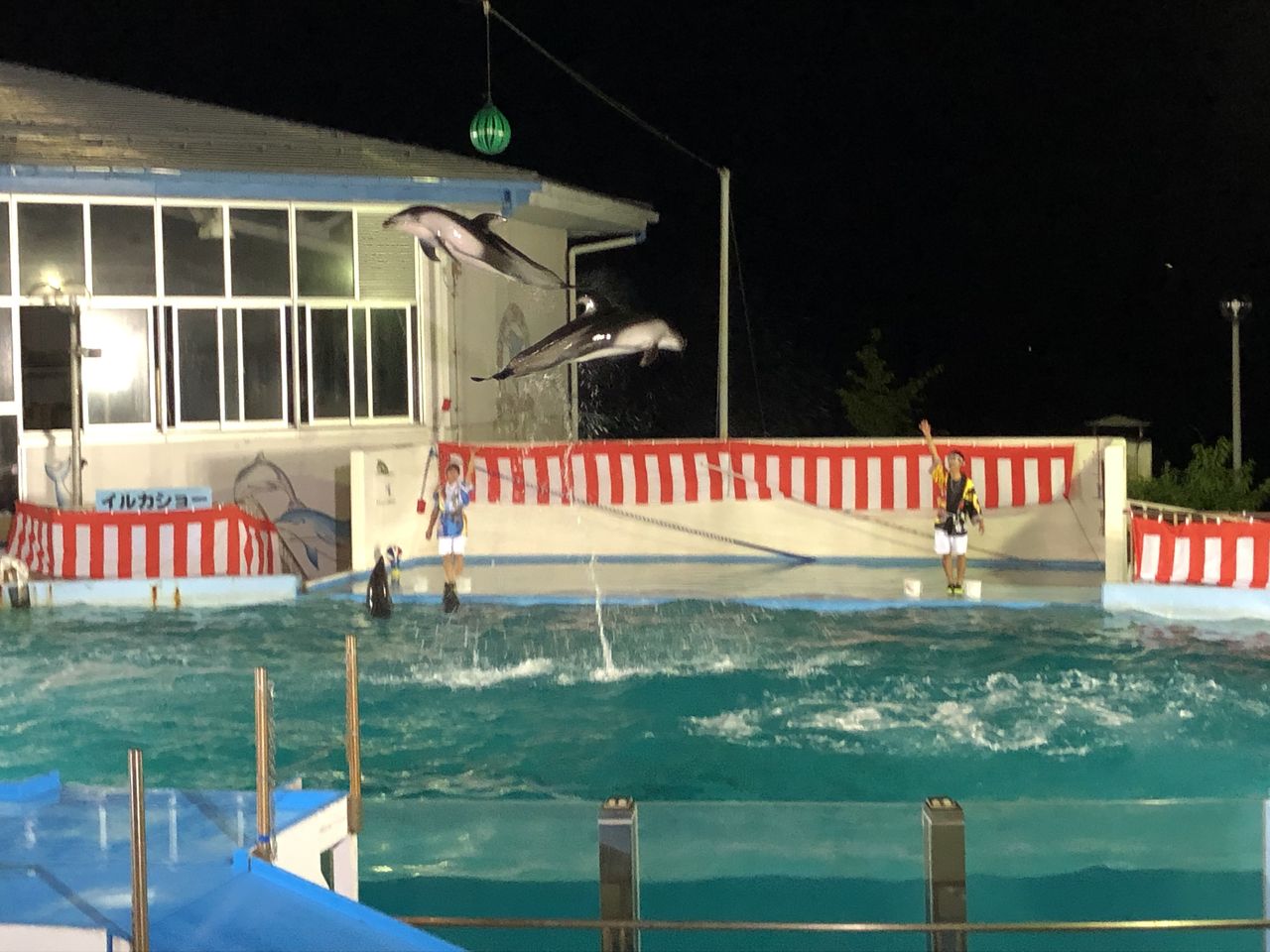 のとじま水族館 夜の水族館 とひょっこり温泉 富山のミカエル日記 のとじま水族館 夜の水族館 とひょっこり温泉 富山のミカエル日記