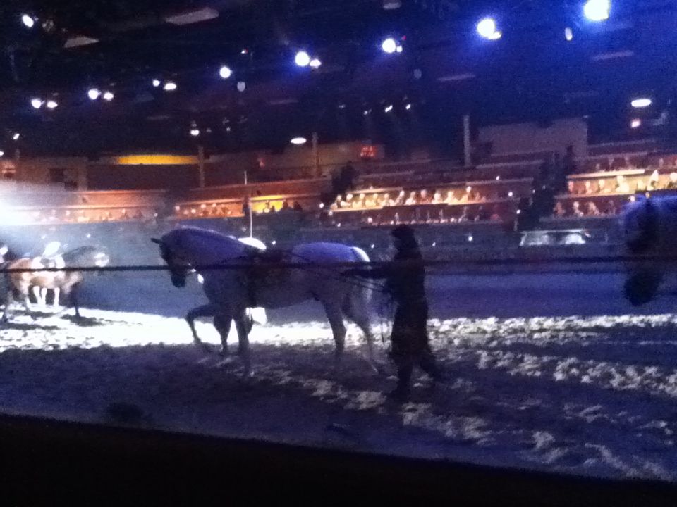 騎士が勢揃い メディイーバル タイムズ 2 14アメリカ旅行 23 盆正月の海外背伸びラグジュアリー 会社員夫婦のふつうの旅行