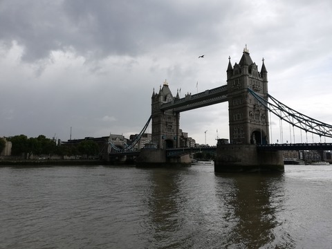 IMG_20190812_160403
