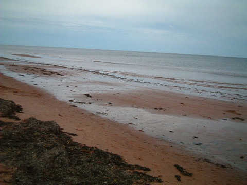 DSCF0084