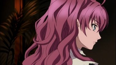 八犬伝 東方八犬異聞 第４話 帰郷 月鏡楼 アニメブログ別館