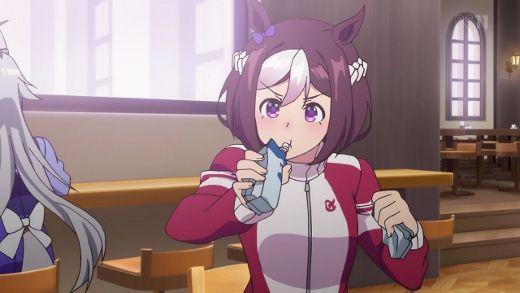ウマ娘 プリティーダービー 第10話 何度負けても 月鏡楼 アニメブログ別館