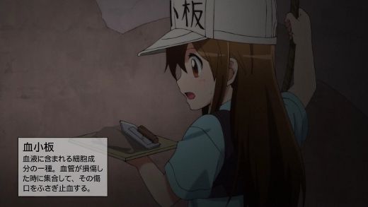 はたらく細胞 第８話 血液循環 月鏡楼 アニメブログ別館