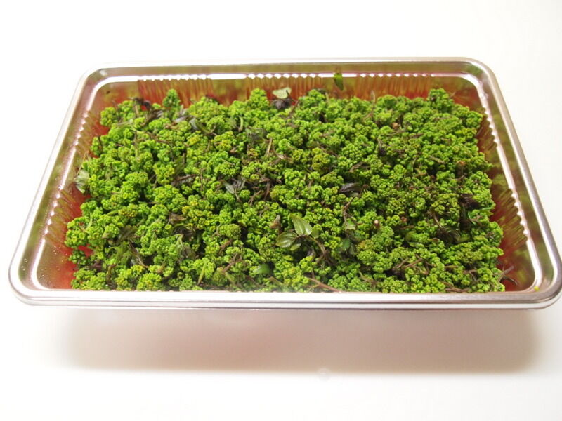 花山椒鍋 Mikageマダムの夕食レシピ 花山椒鍋 Mikageマダムの夕食レシピ