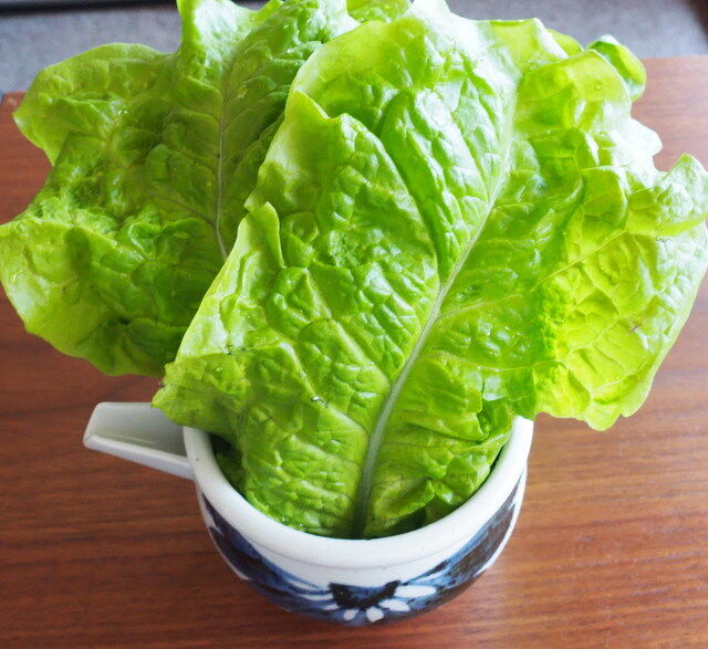 お若い方にご忠告 Mikageマダムの夕食レシピ