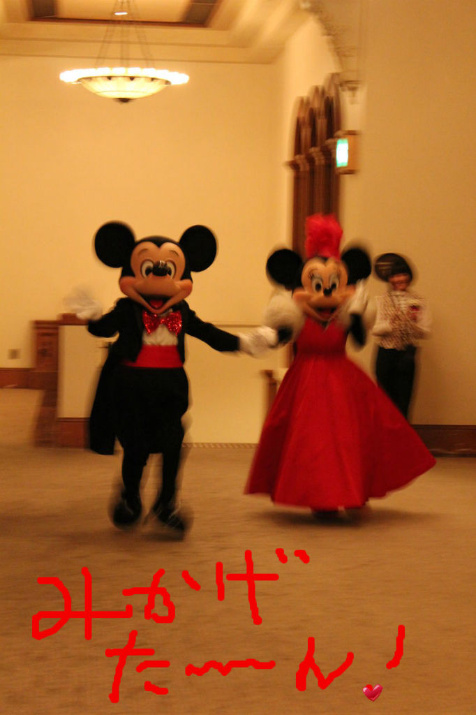 台風直撃のさなか ｂｂｂミッキーミニーと会ったよ 追加画像更新 ダッフィー大好き 美影のひとりごと