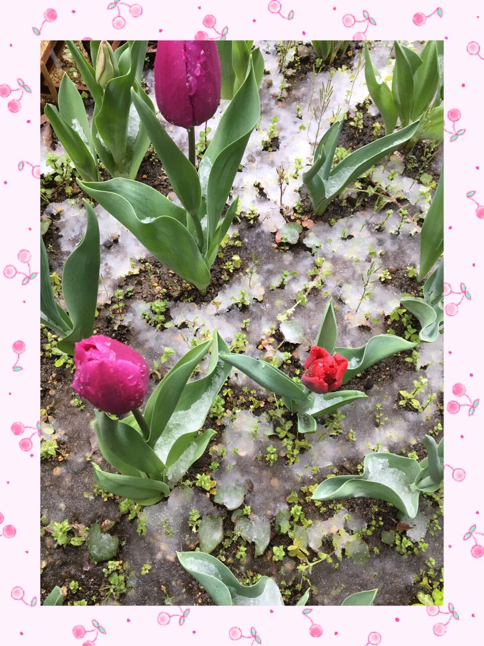 5577FDD5-A2A5-4793-AB13-FFC6C8502856