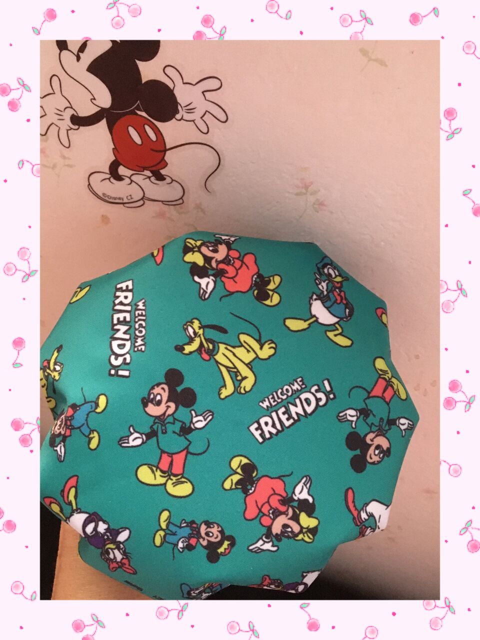 ディズニーの氷のうを買いました ダッフィー大好き 美影のひとりごと ディズニーの氷のうを買いました ダッフィー大好き 美影のひとりごと