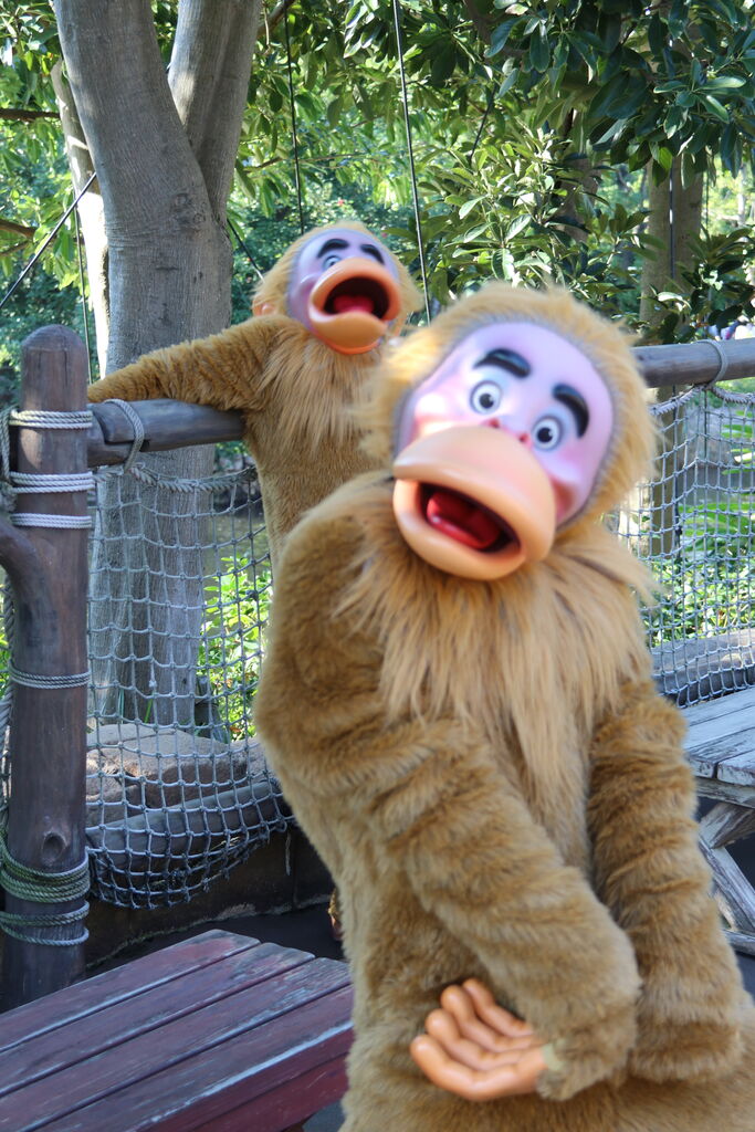 モンキーグリが楽しすぎた ダッフィー大好き 美影のひとりごと モンキーグリが楽しすぎた ダッフィー大好き 美影のひとりごと