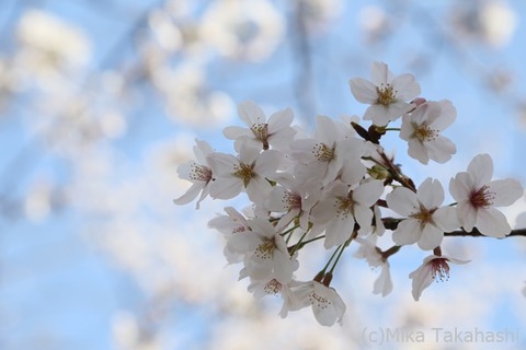 IMG_3052-20210324-205212