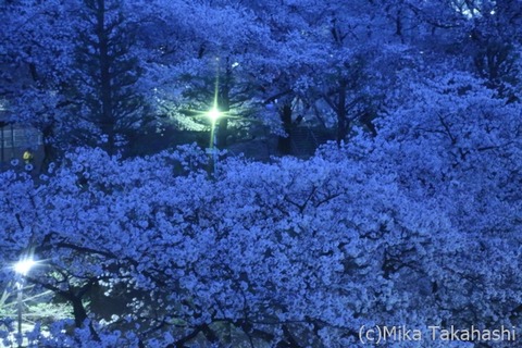 IMG_3257-20210331-172020