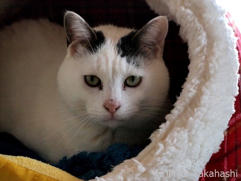 P3261680-20200409-163057