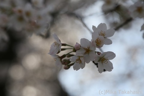 IMG_3086-20210324-210012