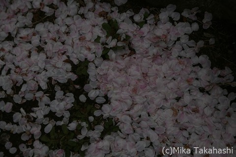 IMG_3443-20210331-173034