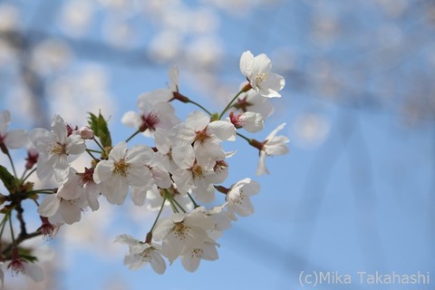 IMG_3079-20210324-205441