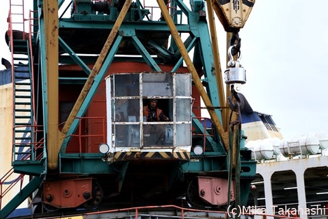 IMG_2110-20200305-114524