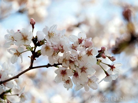 P3261720-20200409-162232