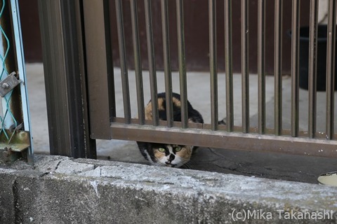 IMG_3080-20210324-205917