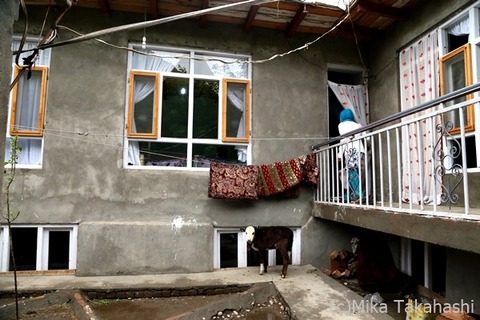 IMG_9156-20210823-172805