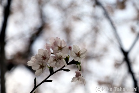 IMG_3860-20220331-151824