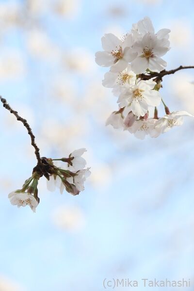 IMG_3091-20210324-210115