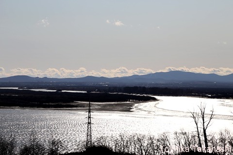 IMG_1948-20200303-154657