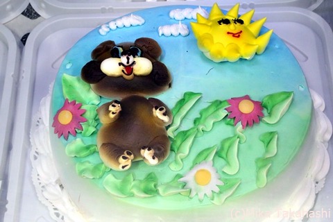 IMG_1991-20200303-161333