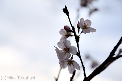 IMG_3865-20220331-152039