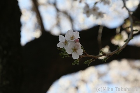 IMG_3112-20210330-181305