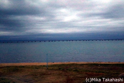 IMG_2056-20200305-104539