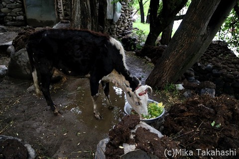 IMG_9160-20210823-172955