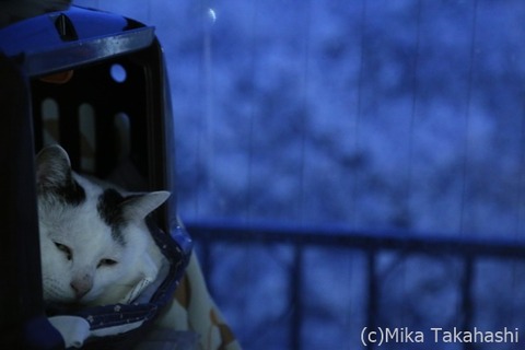 IMG_3265-20210331-172136