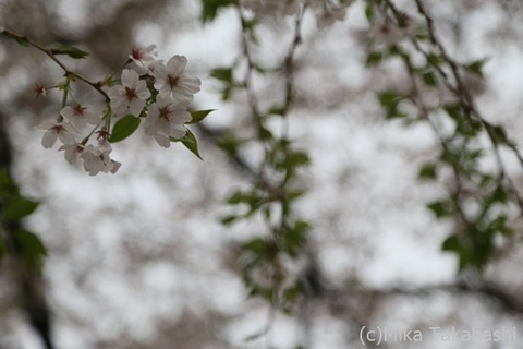 IMG_3400-20210331-172953