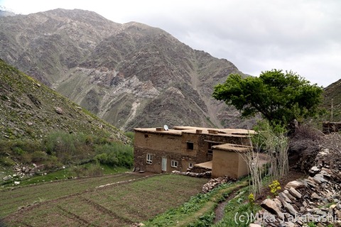 IMG_9117-20210823-172446