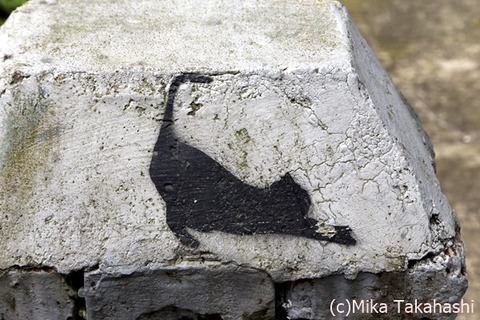 IMG_2181-20200305-115711