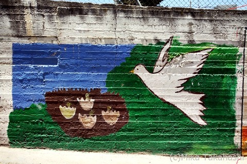 IMG_8287-20201218-202005