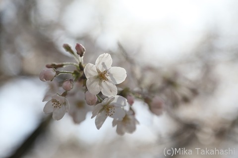 IMG_3148-20210330-181744