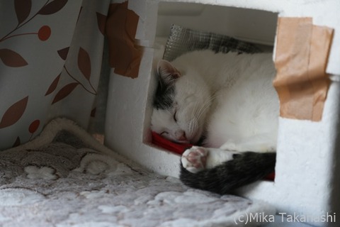 IMG_3191-20210331-171608