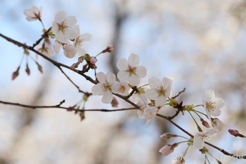 IMG_3141-20210330-181423