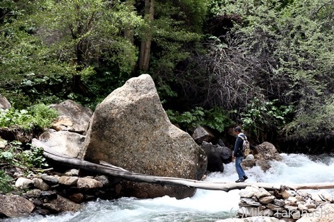 IMG_9365-20210823-174358