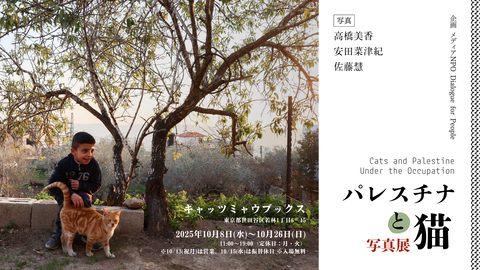 fe17bdad88cae360030512a0baa53596