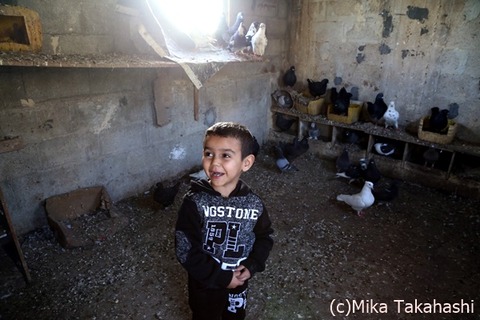 IMG_8535-20200331-195311