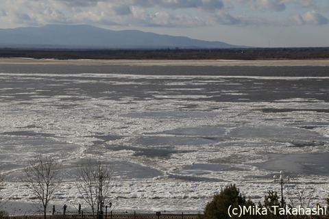 IMG_1799-20200103-141215