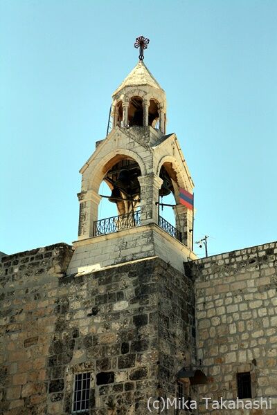 IMG_7304-20201217-120220