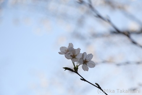 IMG_3165-20210330-181832