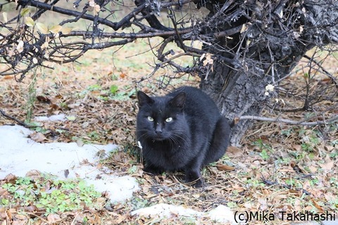 IMG_1774-20200103-140820